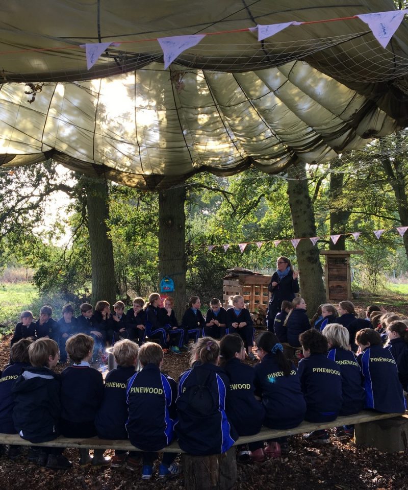 History Pinewood School