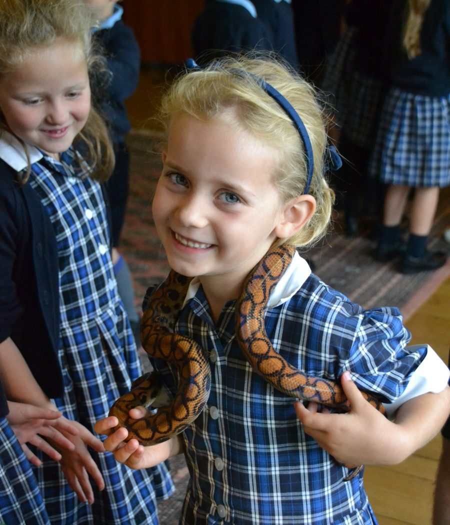 Pinewood Pre-Prep Year 2 girl holding a snake at the Reptile Workshop